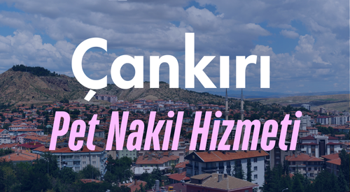 Çankırı'da Güvenilir Pet Taksi ve Evcil Hayvan Nakil Hizmeti - Rahat ve Güvenli Yolculuk