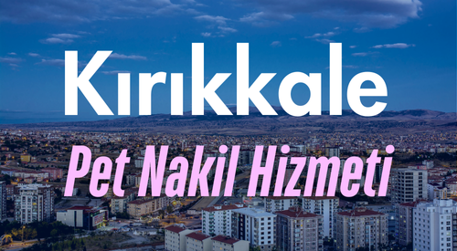 Kırıkkale'de Güvenilir Pet Taksi ve Evcil Hayvan Nakil Hizmeti - Rahat ve Güvenli Yolculuk