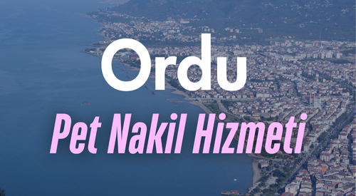 Ordu'da Güvenilir Pet Taksi ve Evcil Hayvan Nakil Hizmeti - Hızlı ve Konforlu Ulaşım