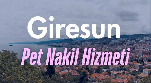 Giresun'da Güvenilir Pet Taksi ve Evcil Hayvan Nakil Hizmeti - Hızlı ve Konforlu Taşıma