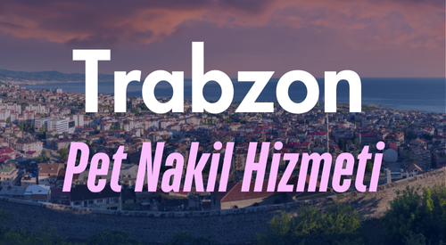 Trabzon'da Güvenilir Pet Taksi ve Evcil Hayvan Nakil Hizmeti - 7/24 Hızlı ve Güvenli Taşıma