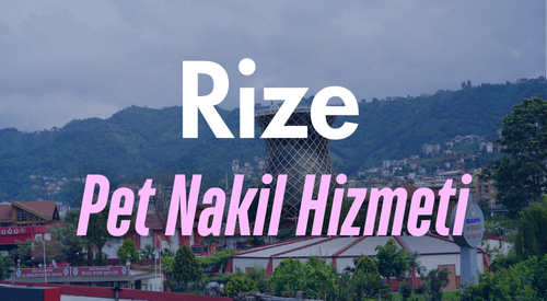 Rize'de Güvenilir Pet Taksi ve Evcil Hayvan Nakil Hizmeti - Hızlı ve Konforlu Taşıma