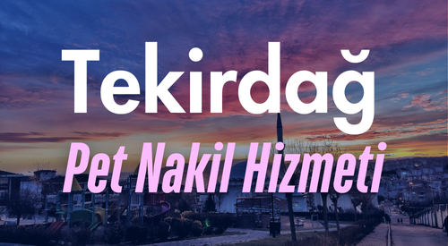 Tekirdağ'da Güvenilir Pet Taksi ve Evcil Hayvan Nakil Hizmeti - Hızlı ve Konforlu Ulaşım