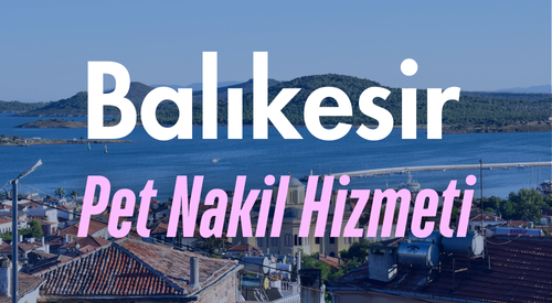 Balıkesir'de Güvenilir Pet Taksi ve Evcil Hayvan Nakil Hizmeti - Hızlı ve Konforlu Taşıma