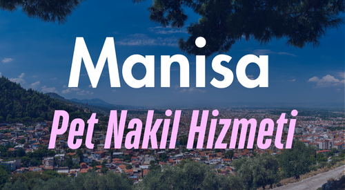 Manisa'da Güvenilir Pet Taksi ve Evcil Hayvan Nakil Hizmeti - Hızlı ve Konforlu Taşıma