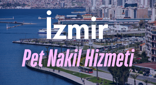İzmir'de Güvenilir Pet Taksi ve Evcil Hayvan Nakil Hizmeti - Hızlı ve Konforlu Taşıma