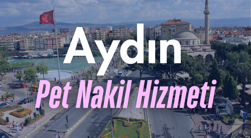 Aydın'da Güvenilir Pet Taksi ve Evcil Hayvan Nakil Hizmeti - Hızlı ve Konforlu Taşıma