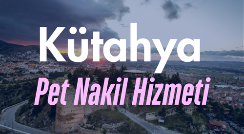 Kütahya'da Güvenilir Pet Taksi ve Evcil Hayvan Nakil Hizmeti - Hızlı ve Konforlu Taşıma