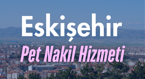 Eskişehir'de Güvenilir Pet Taksi ve Evcil Hayvan Nakil Hizmeti - Hızlı ve Konforlu Taşıma