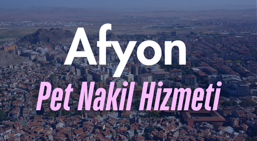 Afyonkarahisar'da Güvenilir Pet Taksi ve Evcil Hayvan Nakil Hizmeti - Hızlı ve Konforlu Taşıma