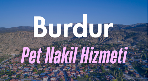Burdur'da Güvenilir Pet Taksi ve Evcil Hayvan Nakil Hizmeti - Hızlı ve Konforlu Taşıma