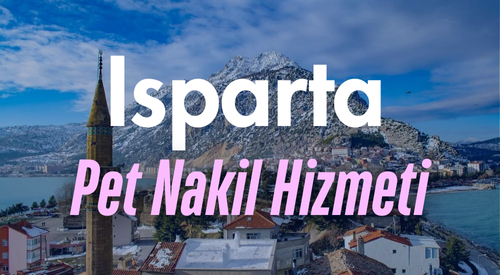 Isparta'da Güvenilir Pet Taksi ve Evcil Hayvan Nakil Hizmeti - Hızlı ve Konforlu Taşıma