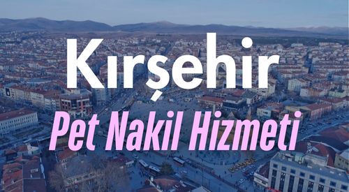 Kırşehir'de Güvenilir Pet Taksi ve Evcil Hayvan Nakil Hizmeti - Hızlı ve Konforlu Taşıma