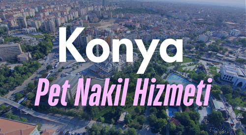 Konya'da Güvenilir Pet Taksi ve Evcil Hayvan Nakil Hizmeti - Hızlı ve Konforlu Taşıma