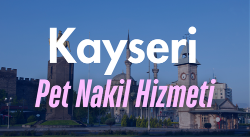 Kayseri'de Güvenilir Pet Taksi ve Evcil Hayvan Nakil Hizmeti - Hızlı ve Konforlu Taşıma