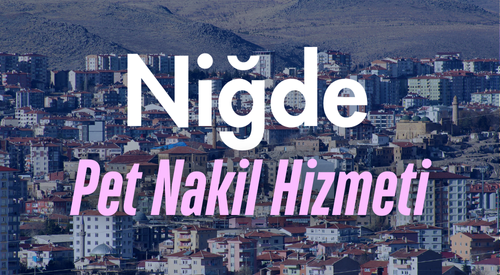 Niğde'de Güvenilir Pet Taksi ve Evcil Hayvan Nakil Hizmeti - Hızlı ve Konforlu Taşıma